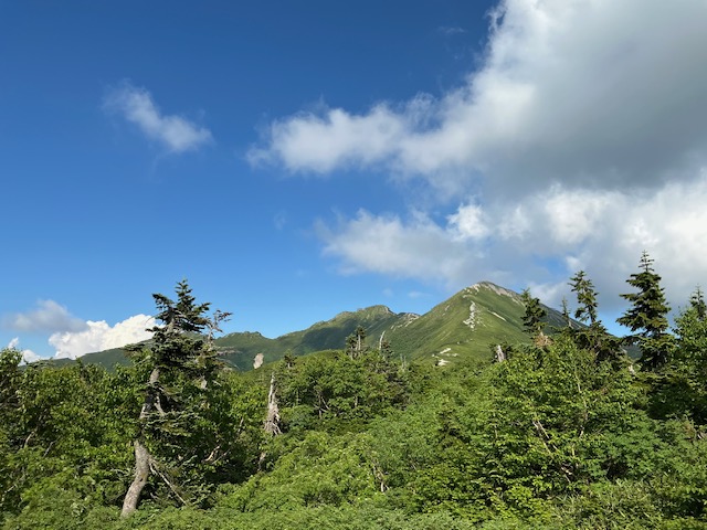 2025年7月冷池山荘種池山荘新越山荘